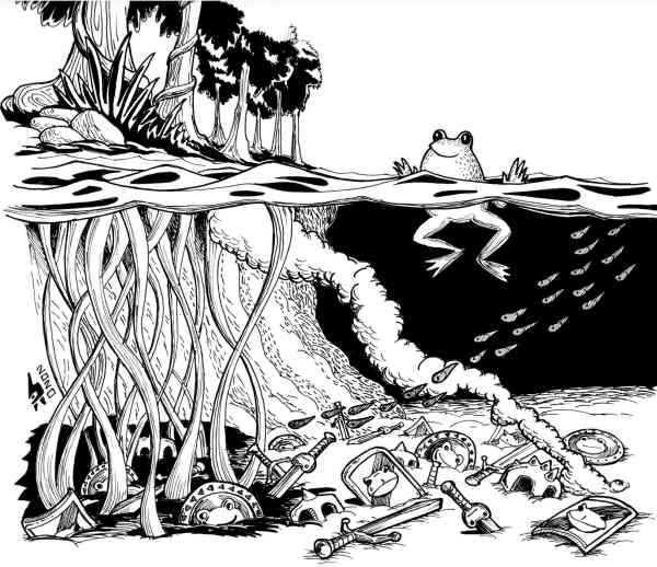 A frog floats over a swamp